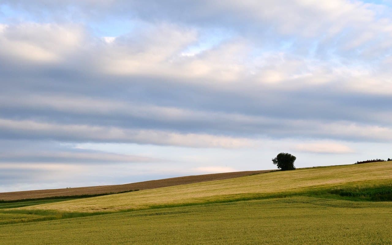 Wetterzweiteilung: Im Norden bewölkt, im Süden sonnig