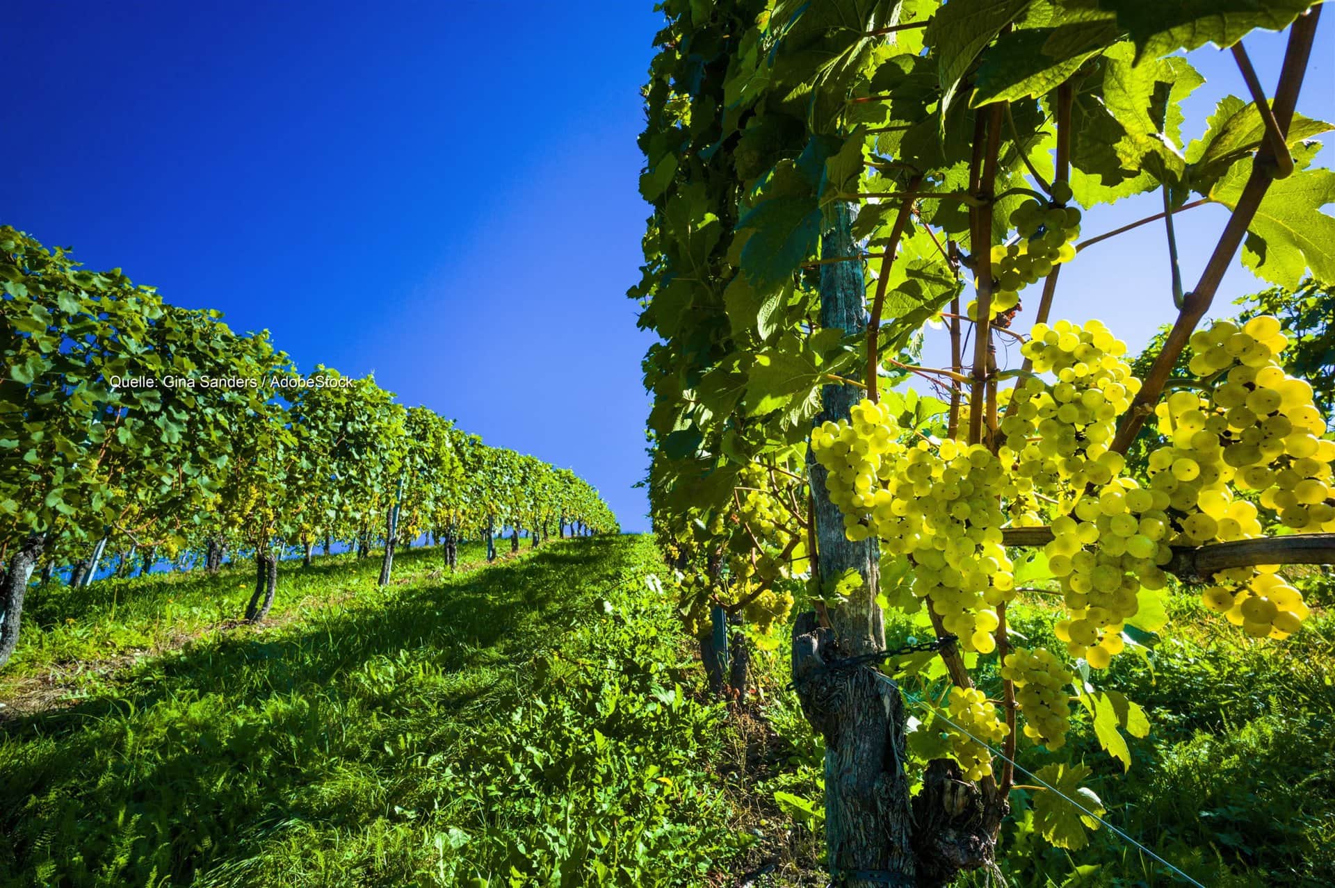 Herbst-Hoch mit viel Sonne? Wetterumstellung zur neuen Woche!