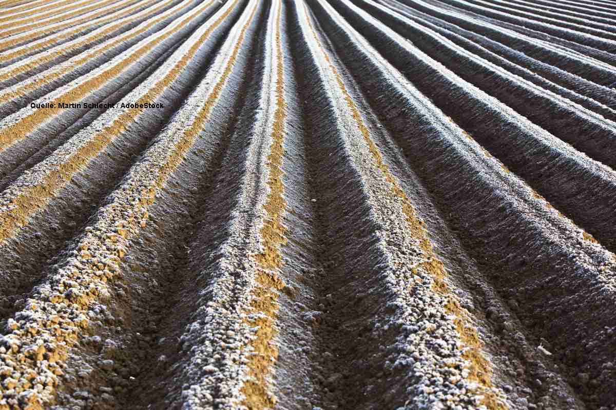 Bodenfrost im Südosten, tagsüber Sonne – Regen ab Mittwoch
