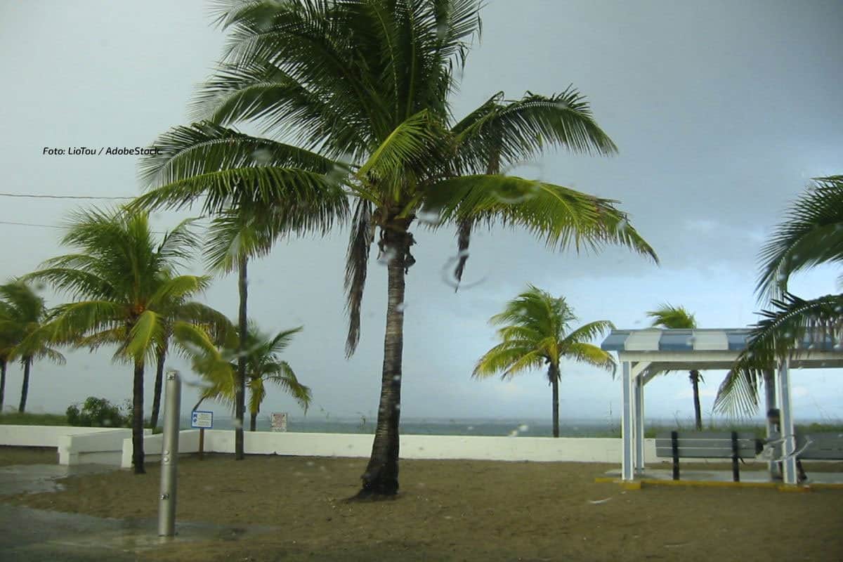 Hurrikan Nolo vor Hawaii: Sturzfluten auf Big Island