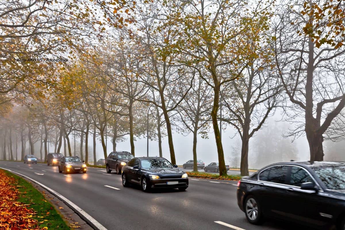 Nebel im Süden: Sicht unter 150 Meter, Unfallrisiko steigt