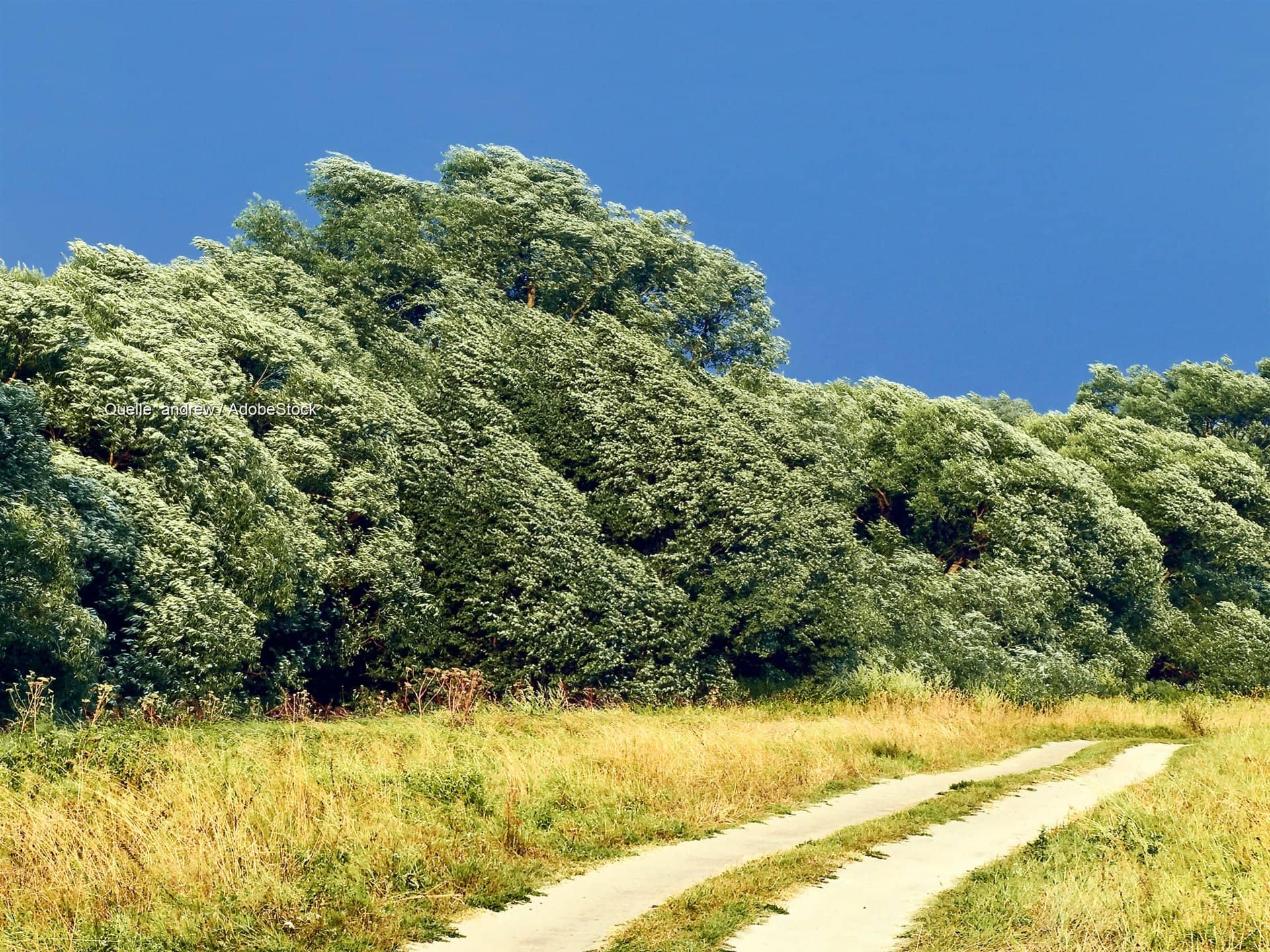 Spätsommer im Süden, Sturmböen im Norden: Land zweigeteilt