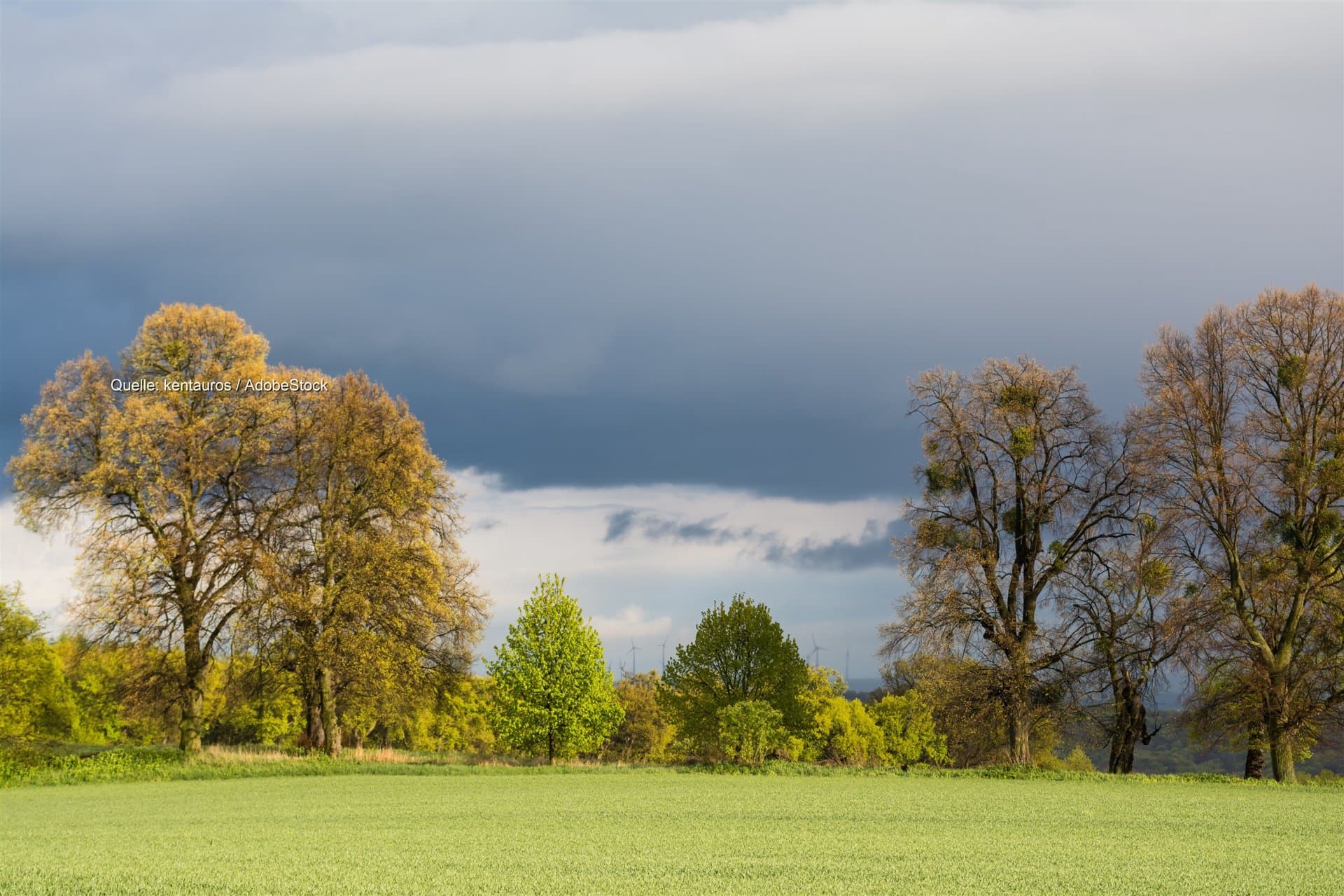 Regen in der Nordhälfte, am Oberrhein spätsommerliche 26 Grad