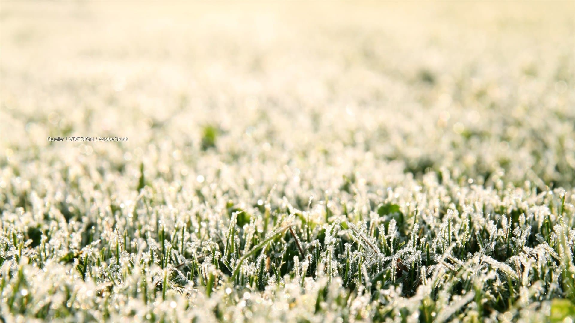 Frostnacht, dann Spätsommer: Südwesten trocken bei 28 Grad