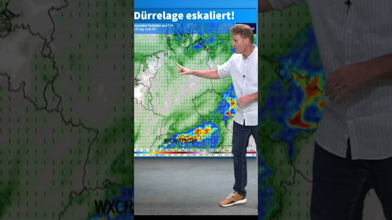 Dürrelage eskaliert komplett: Wasserstand Rhein bei 1 cm! Neue Hitze schon in einer Woche? #drought