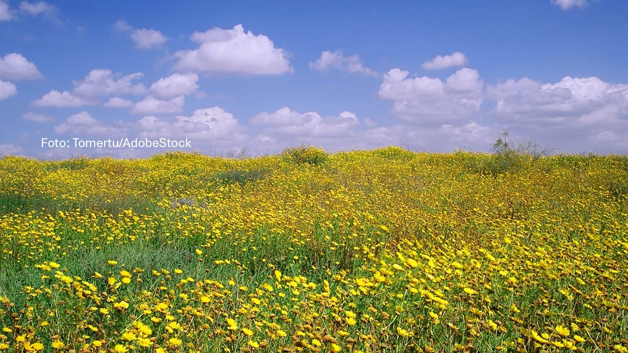 Frühling legt los – bleibt aber nicht stabil