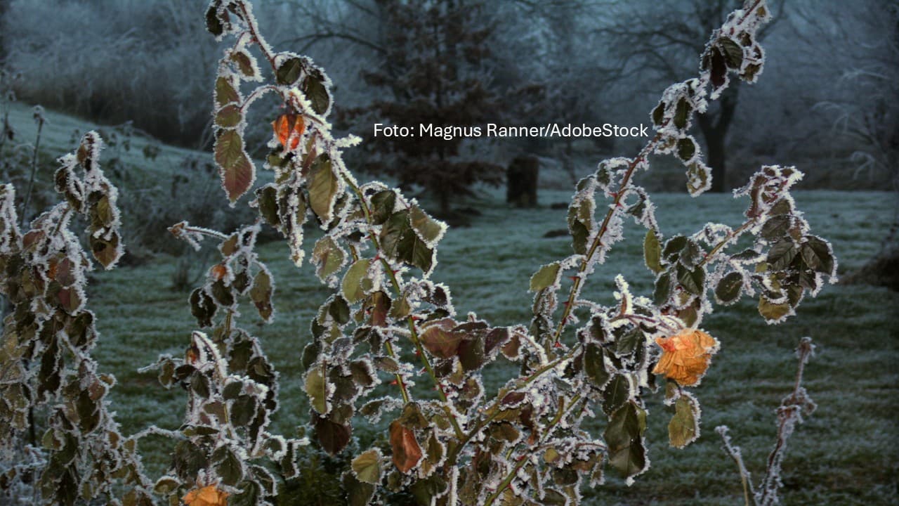 Winter-Front rollt an: Schnee und Glätte am Mittwoch