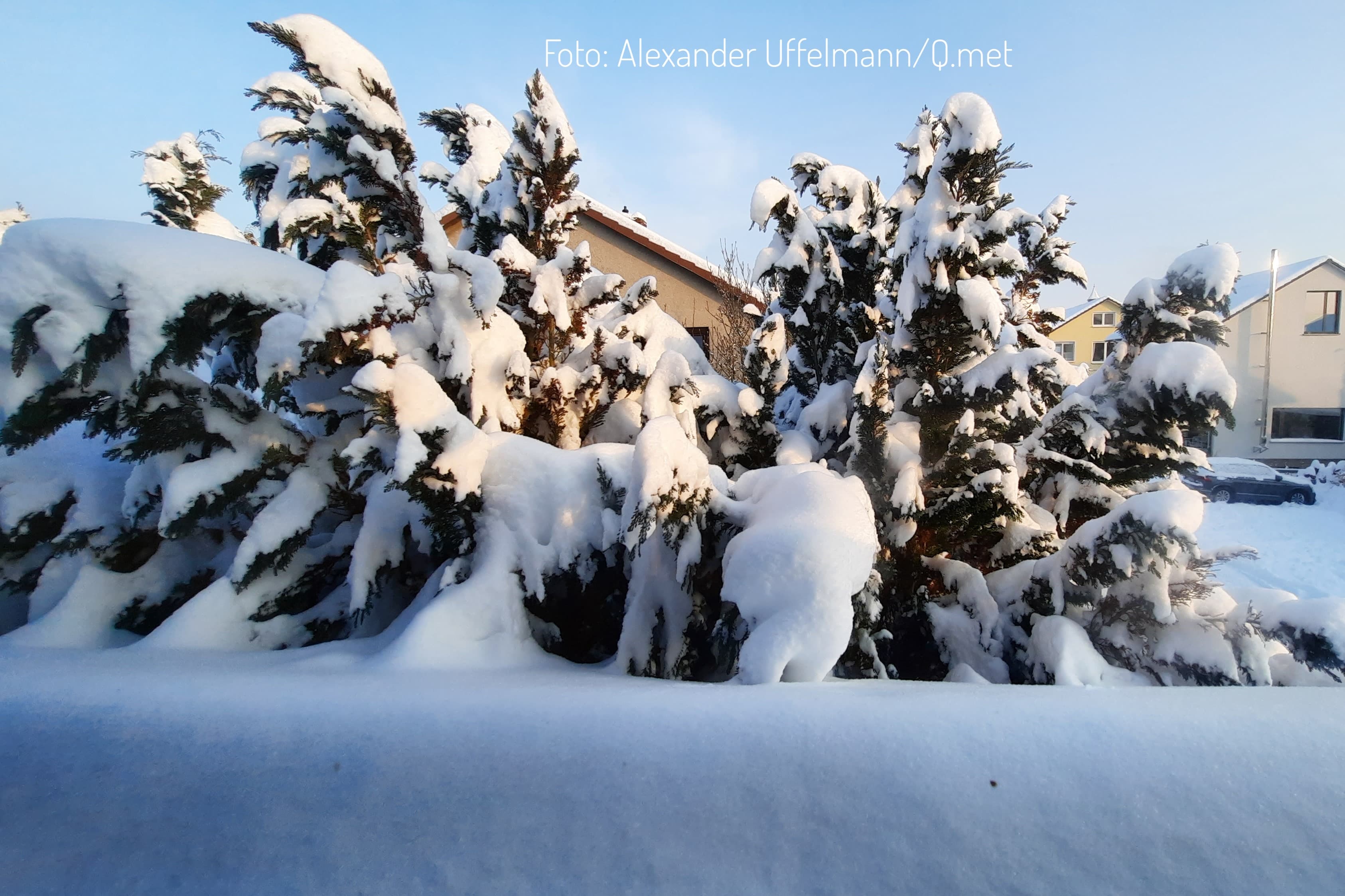 Der Winter hat uns fest im Griff: Dauerfrost und Schnee bis in die tiefsten Lagen in Sicht!