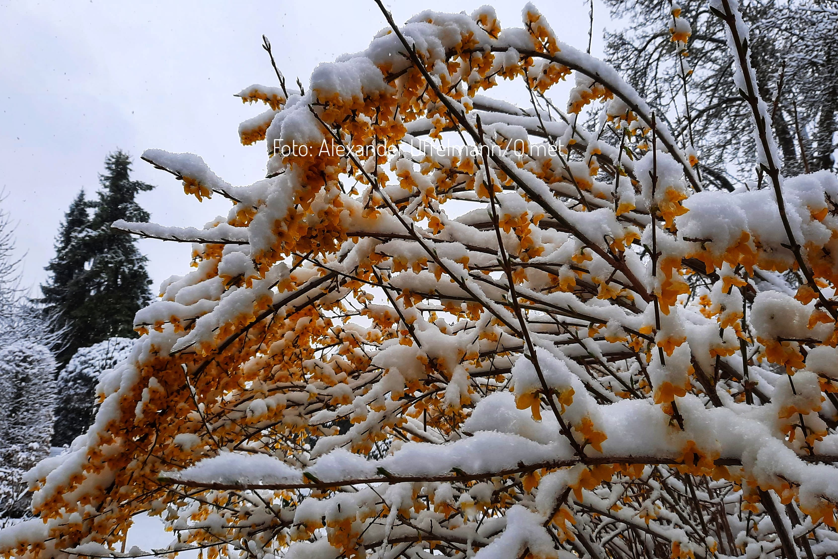 Großer Frühlingssturm mit Starkregen und Schnee im Anmarsch! Spielt uns der April einen schlechten Scherz?