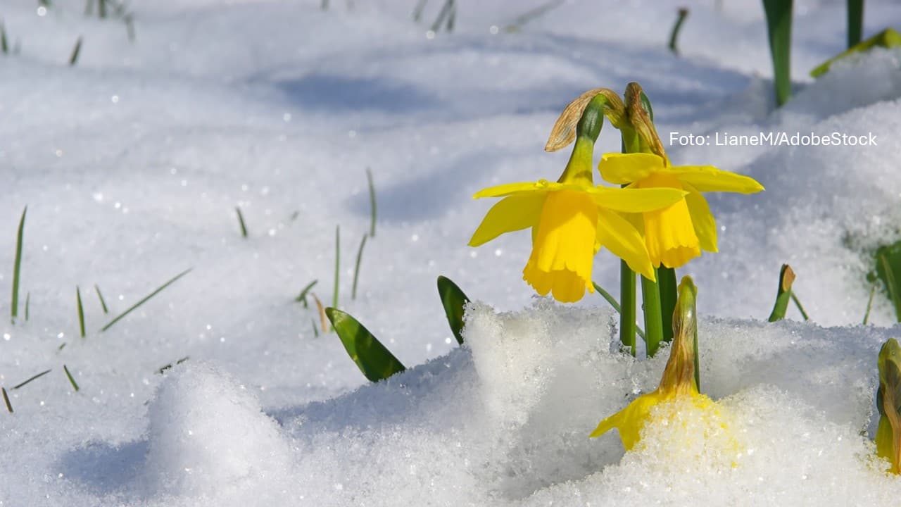 Winterstimmung, Klima und neue Routinen im Frühling