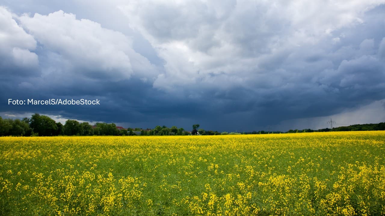 Zwischen Sonne, Schauern und Sommergewittern