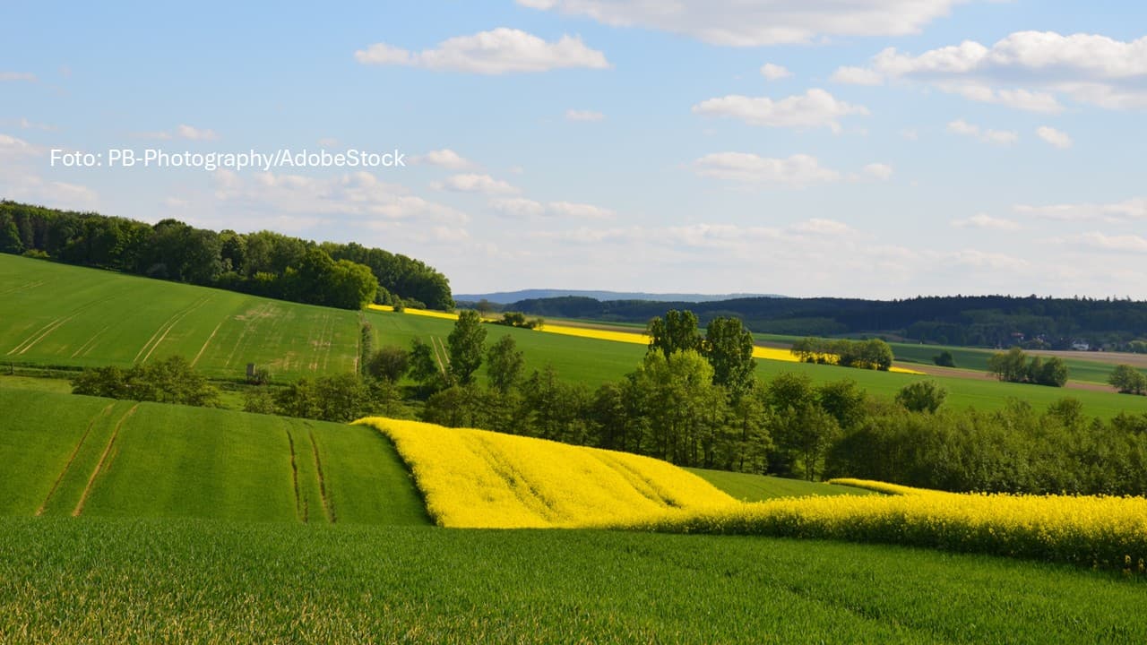 SOMMER-BOOST MIT 30 GRAD! Deutschland schwitzt in der Sonne – doch nachts rauscht die Temperatur deutlich ab!