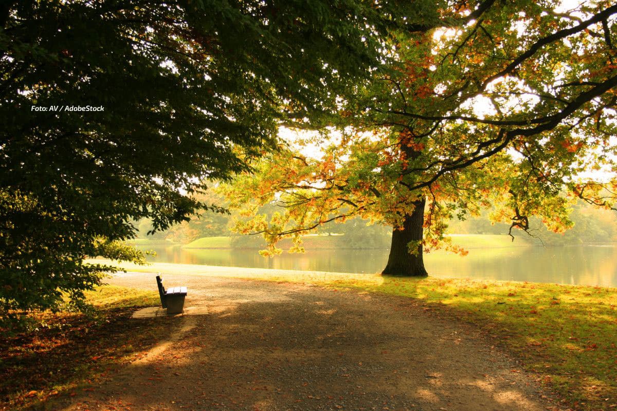 Endlich für alle ein goldener Oktober-Tag!
