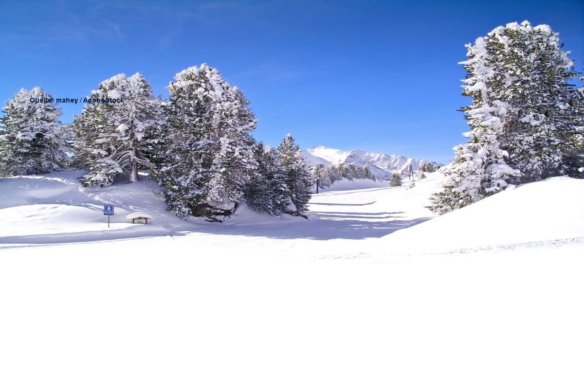 Schneealarm in Südwest und Alpen: Bis zu 40 cm Neuschnee in 24 Stunden