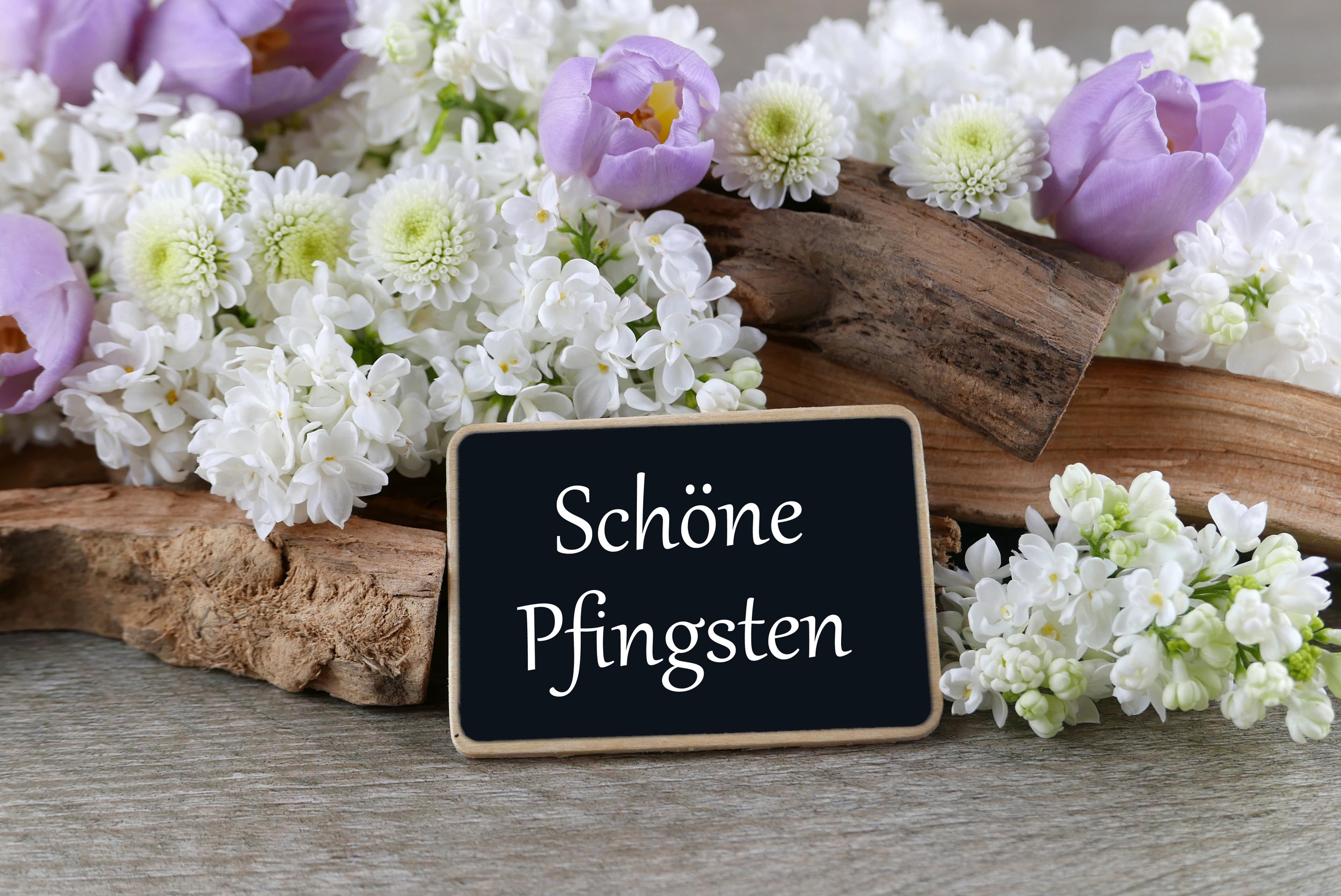 Donnerstag im Wetter-Umbruch: Deutschland kippt in Sonne, Wärme und ruhige Frühsommerluft – ein Vorgeschmack auf mehr