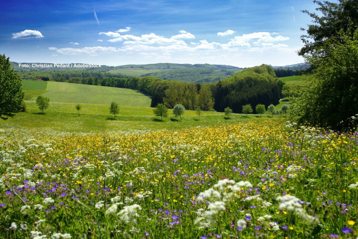 Erst Hitze-Kick, dann Gewitter-Schock: So wild wird diese Wetter-Woche
