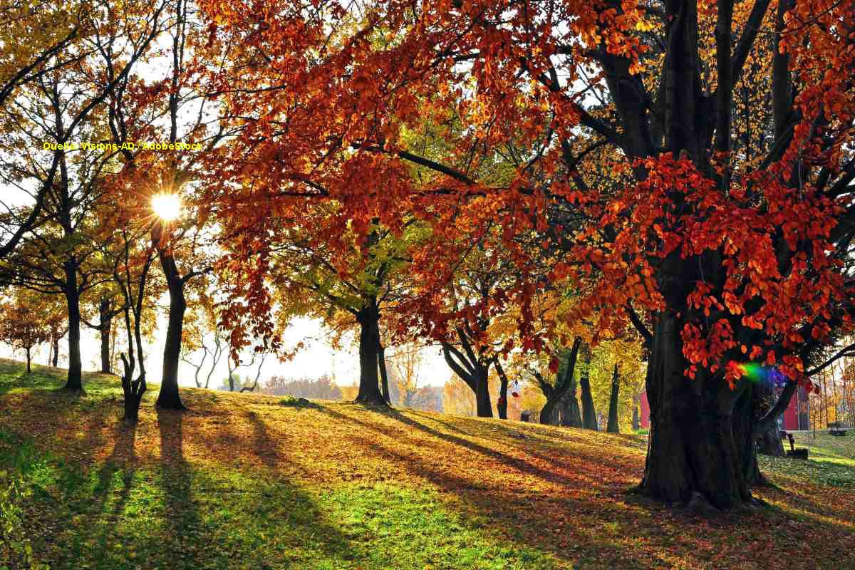 Goldene Sonnenblicke und graue Wolkenfelder