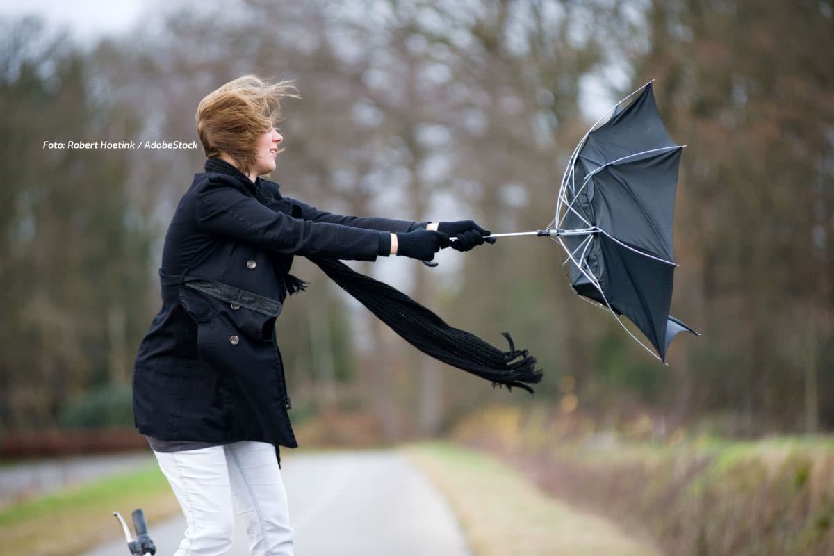 Westwindbühne mit kräftigem Auftakt