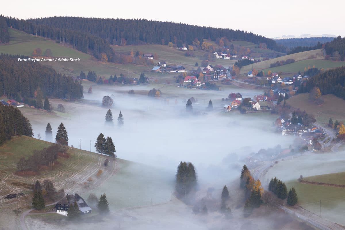 Sonnenglanz nach grauem Start