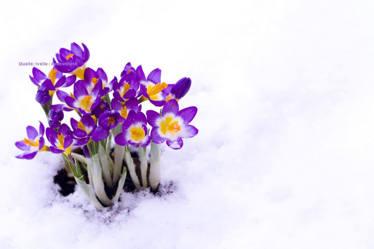 Spätwinter hält Deutschland im Griff: Kühle Wetterphase reicht bis in den April