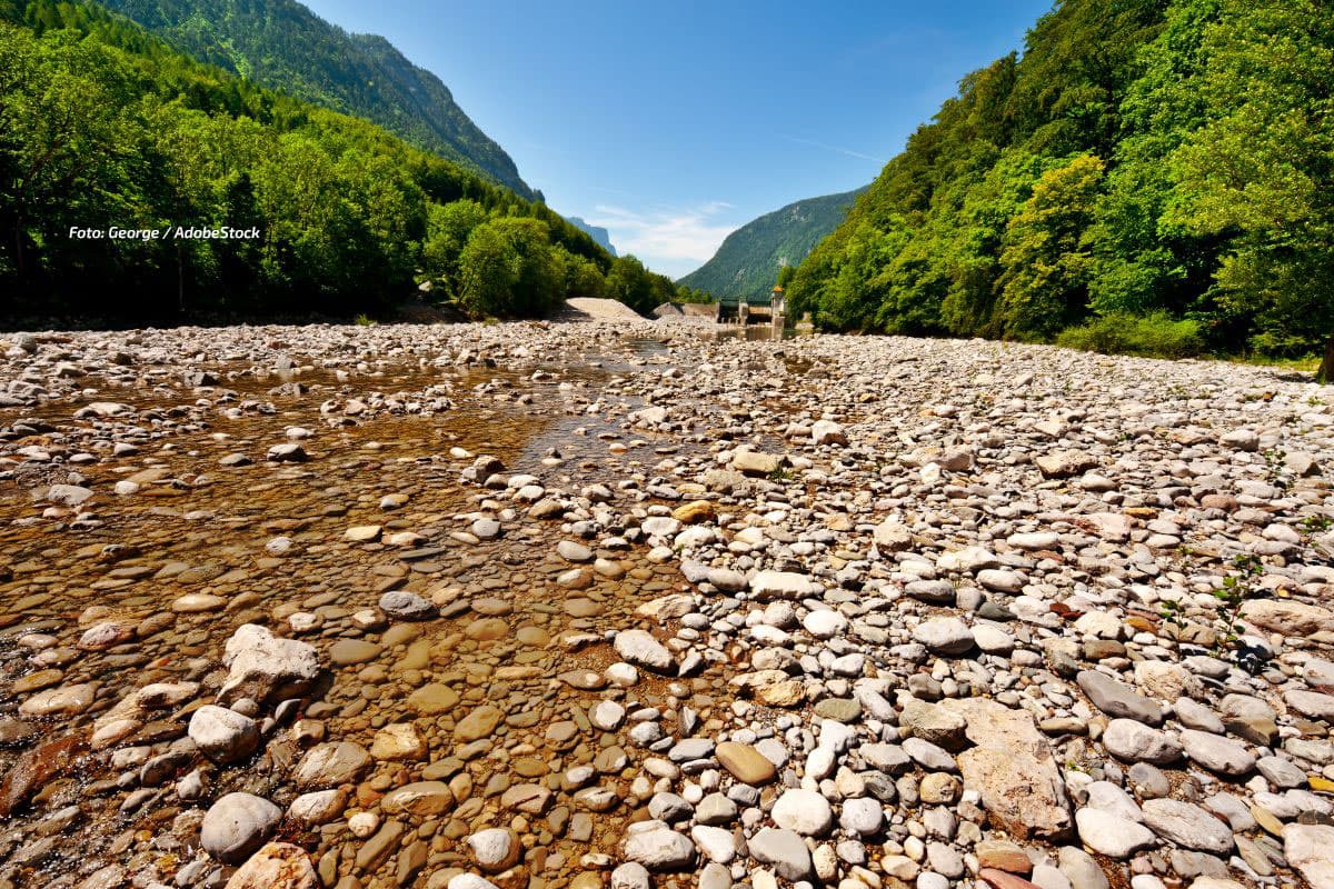 Trockenheit in Deutschland: Waldbrandgefahr steigt – erste Hoffnung zum Monatswechsel