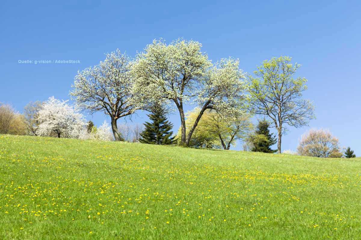 Frühling flirtet mit dem Sommer – aber der Norden spielt nicht mit