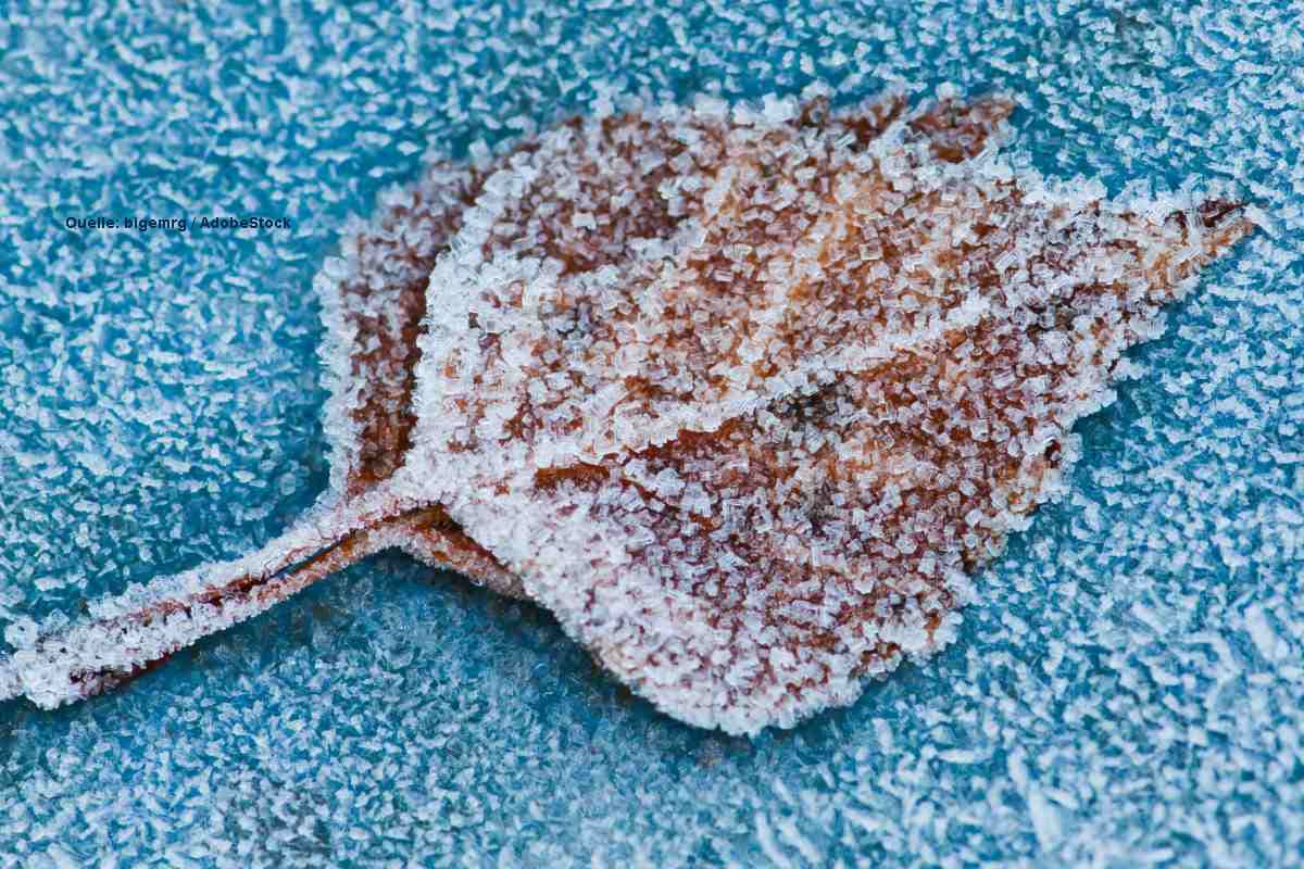 Unwetterwarnung: Markante Glätte droht – das Bundesamt für Umwelt erklärt, wie Sie Gehwege clever und umweltfreundlich streuen!