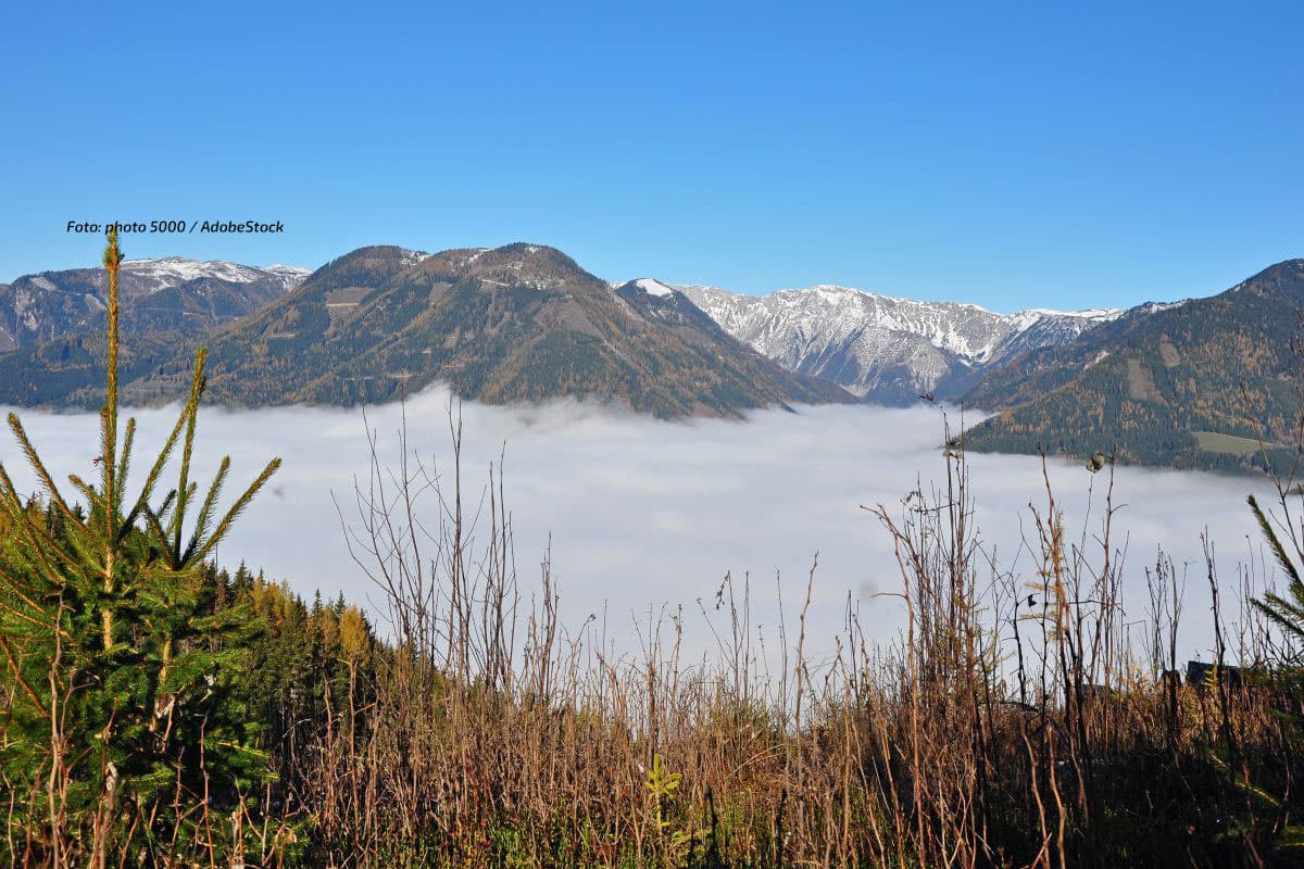 Trüber Hochnebel hält das Land im Griff