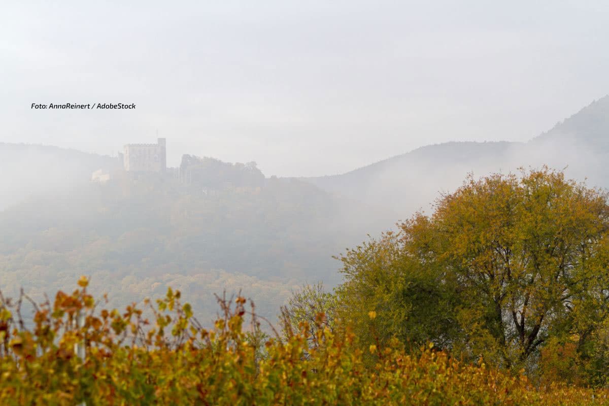 Goldene Fenster im trüben Grau