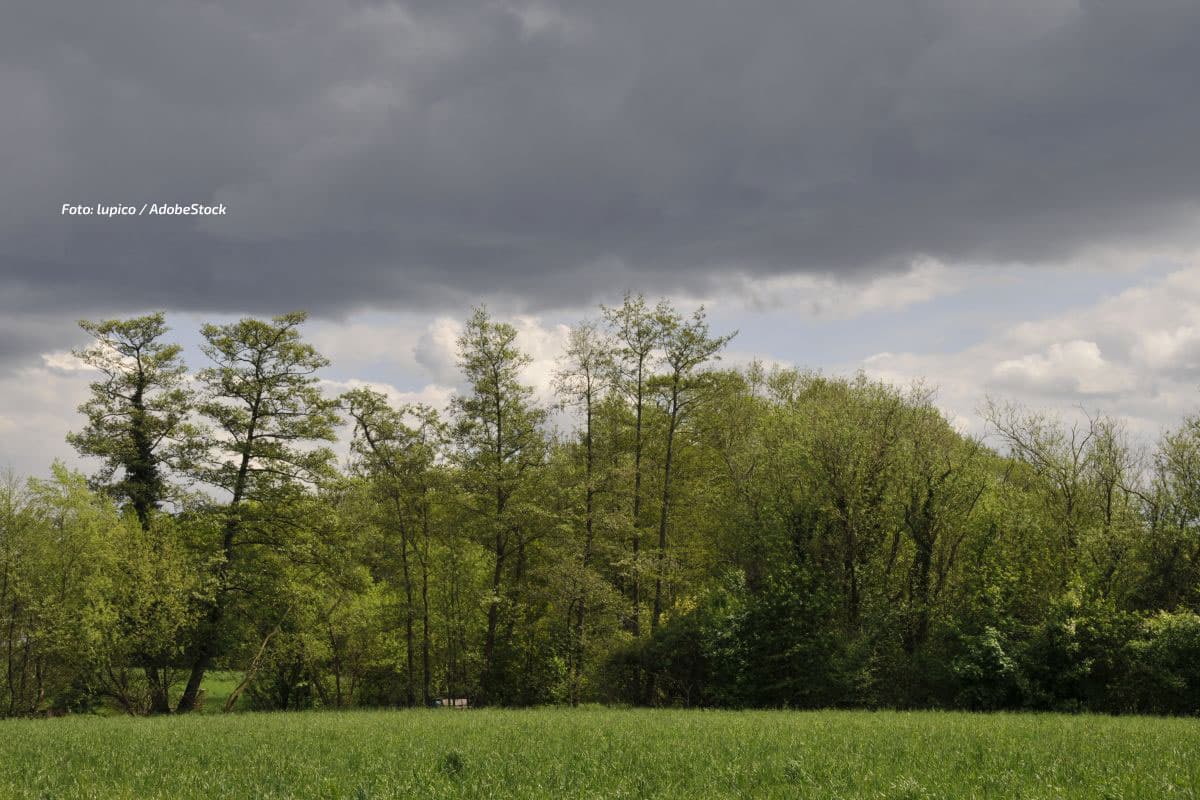 Explosive Mischung: Hitze kulminiert, Wolken türmen, Gewitter drohen mit Unwettern