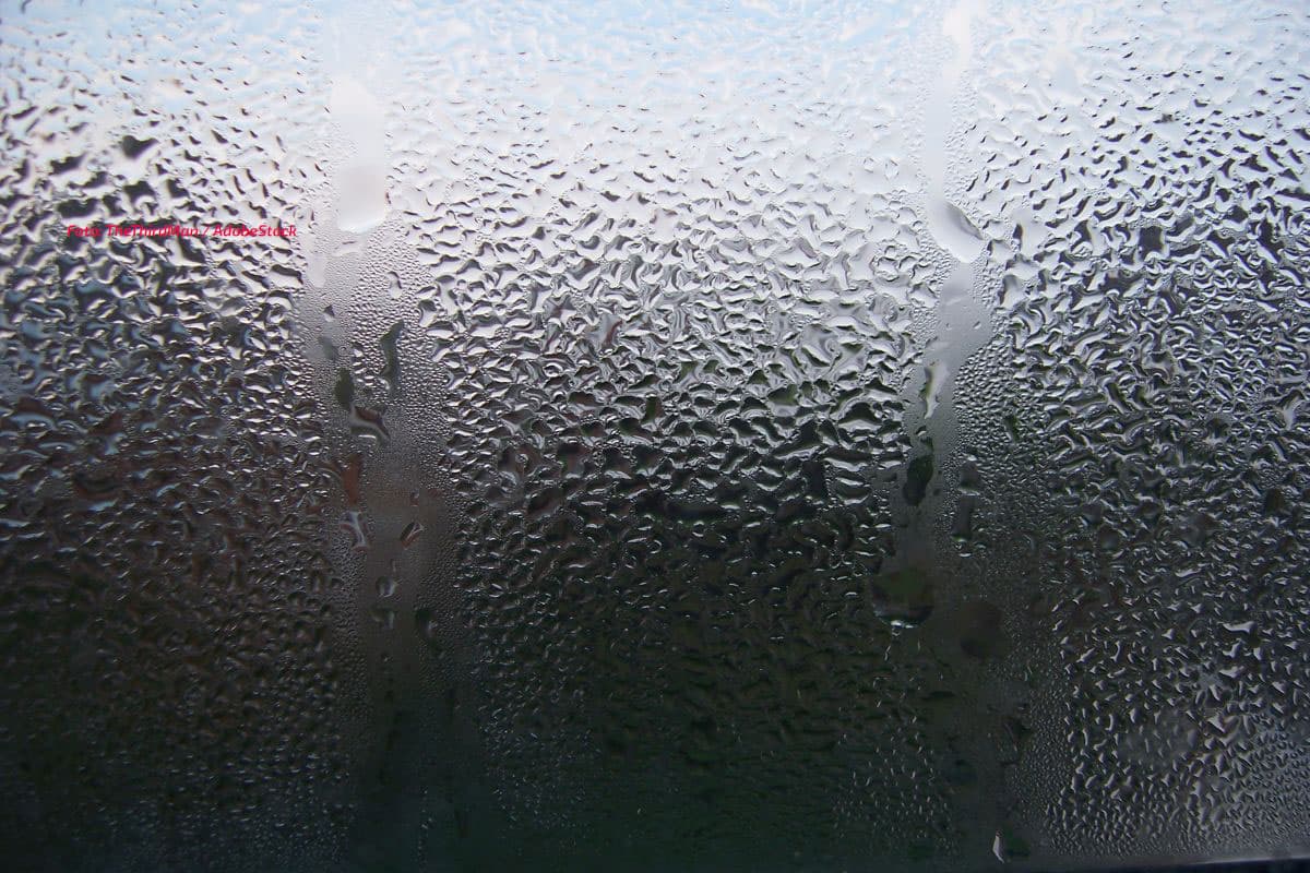 Winter zwischen Regen und Schnee