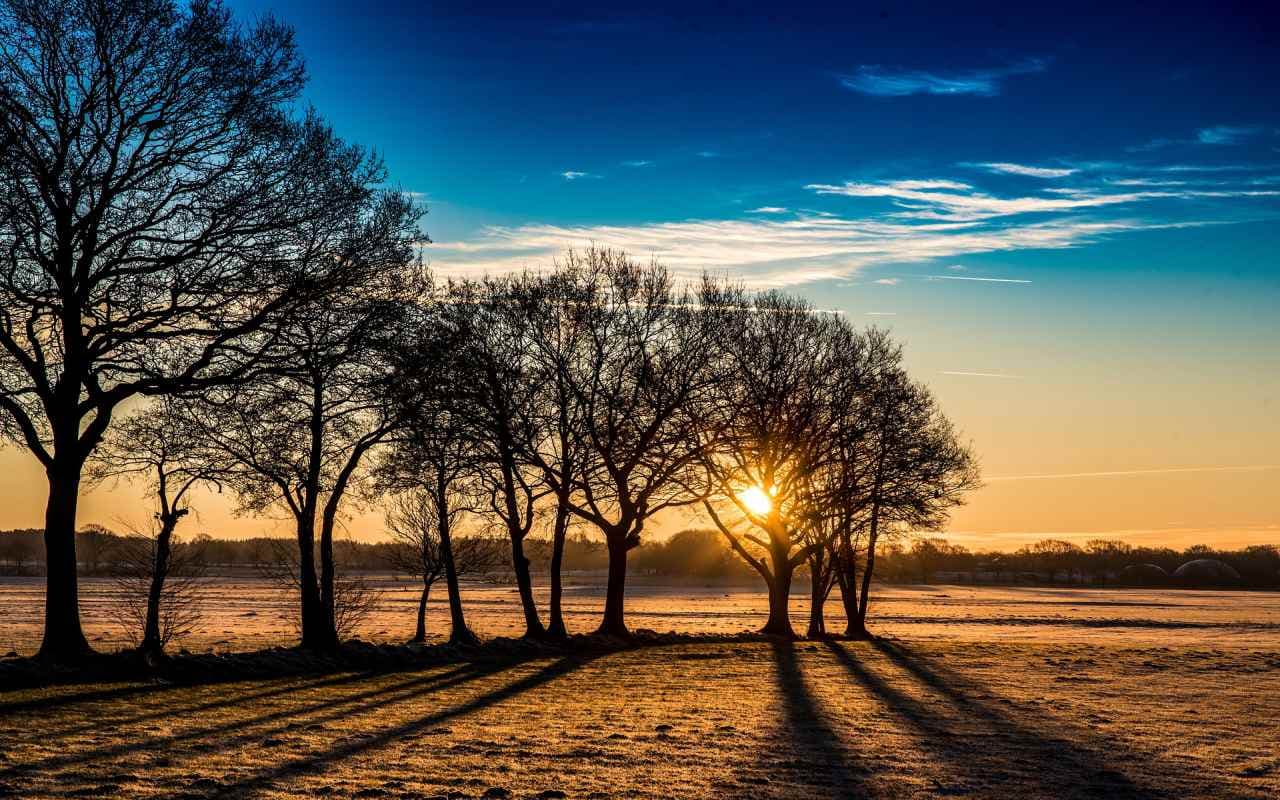 Februar bisher mit mehr Sonnenschein als der Dezember