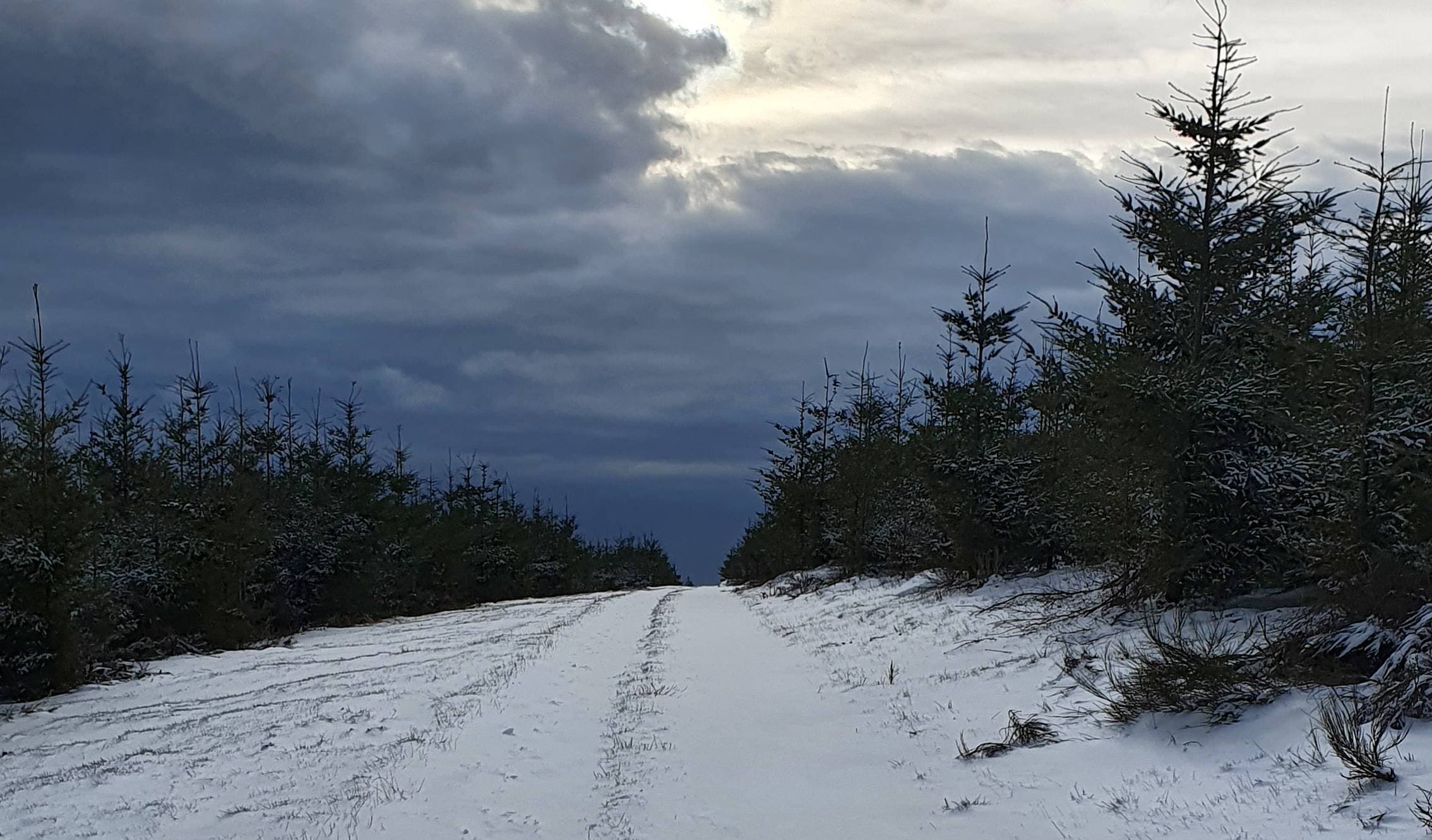 Schon wieder Schnee? Am Wochenende ist alles dabei: Frühling, Gewitter, Winter