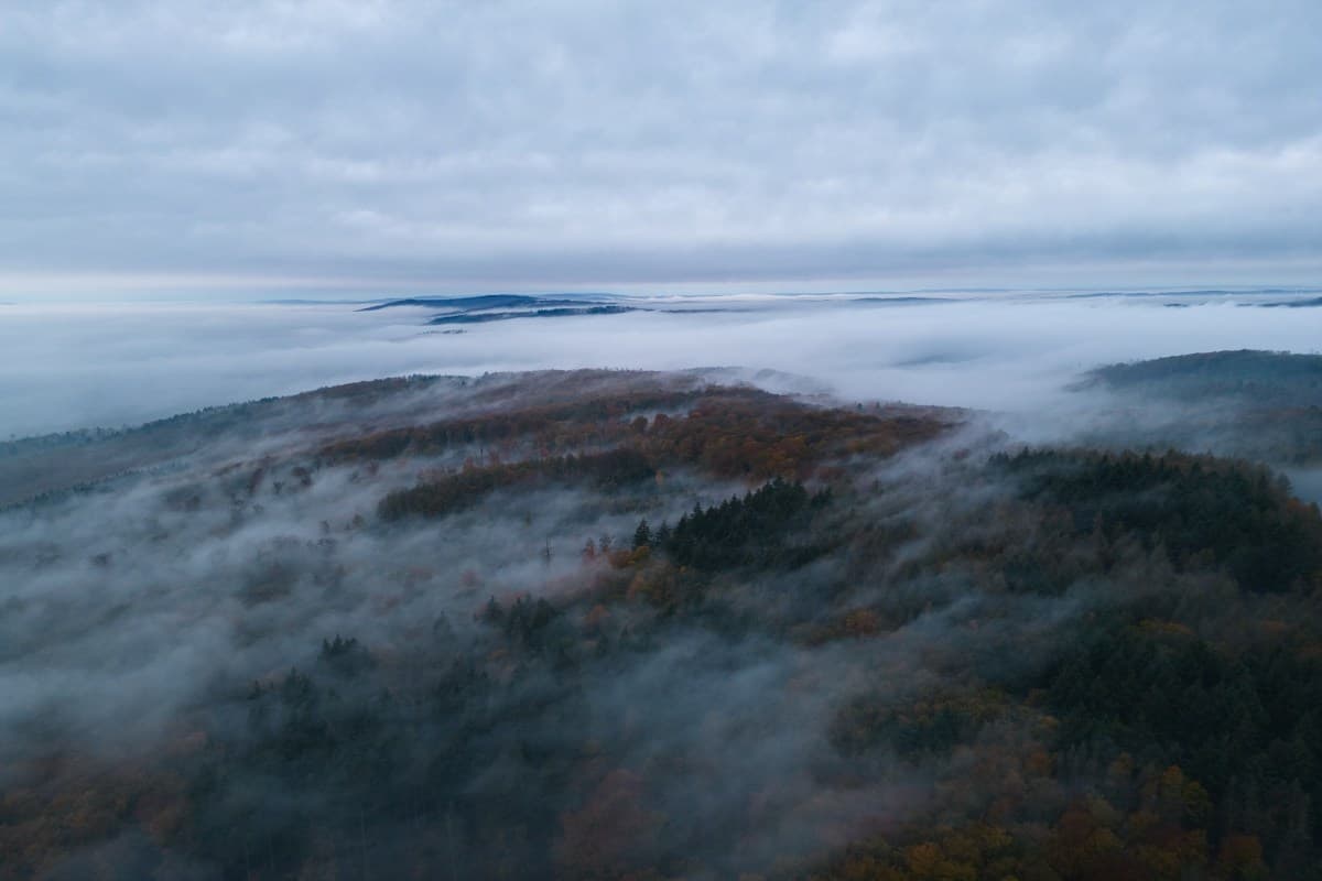 Wochenendwetter: Ruhig mit gedämpftem Licht