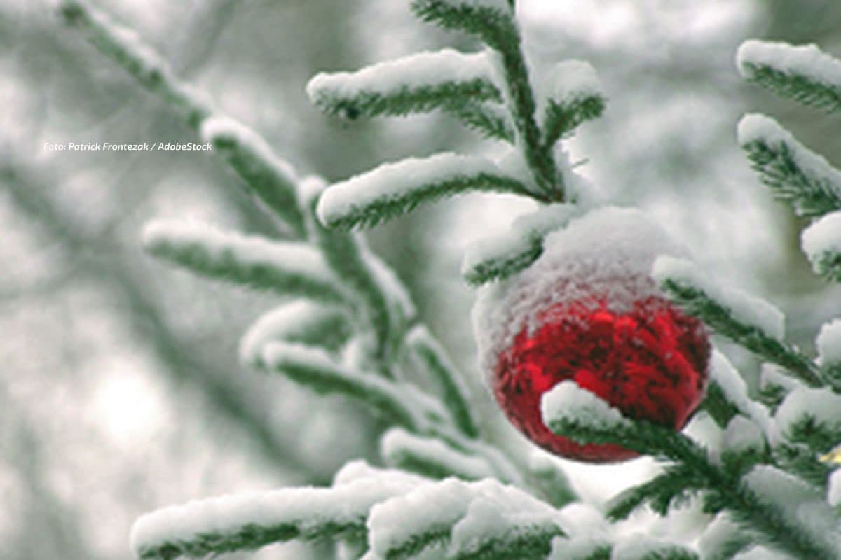 Nasskaltes Wochenende - Hoffnung auf Schnee zu Weihnachten!