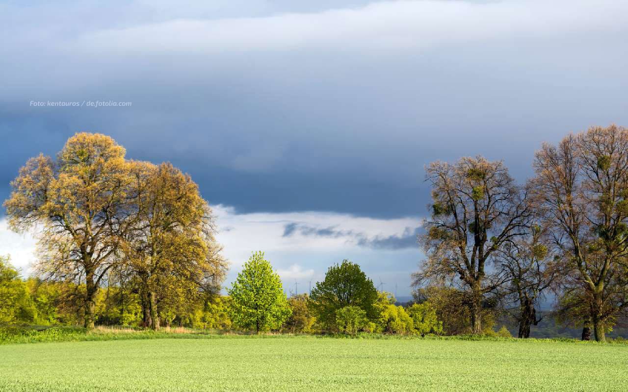 Regenbänder im Norden, Sonnenfenster im Süden