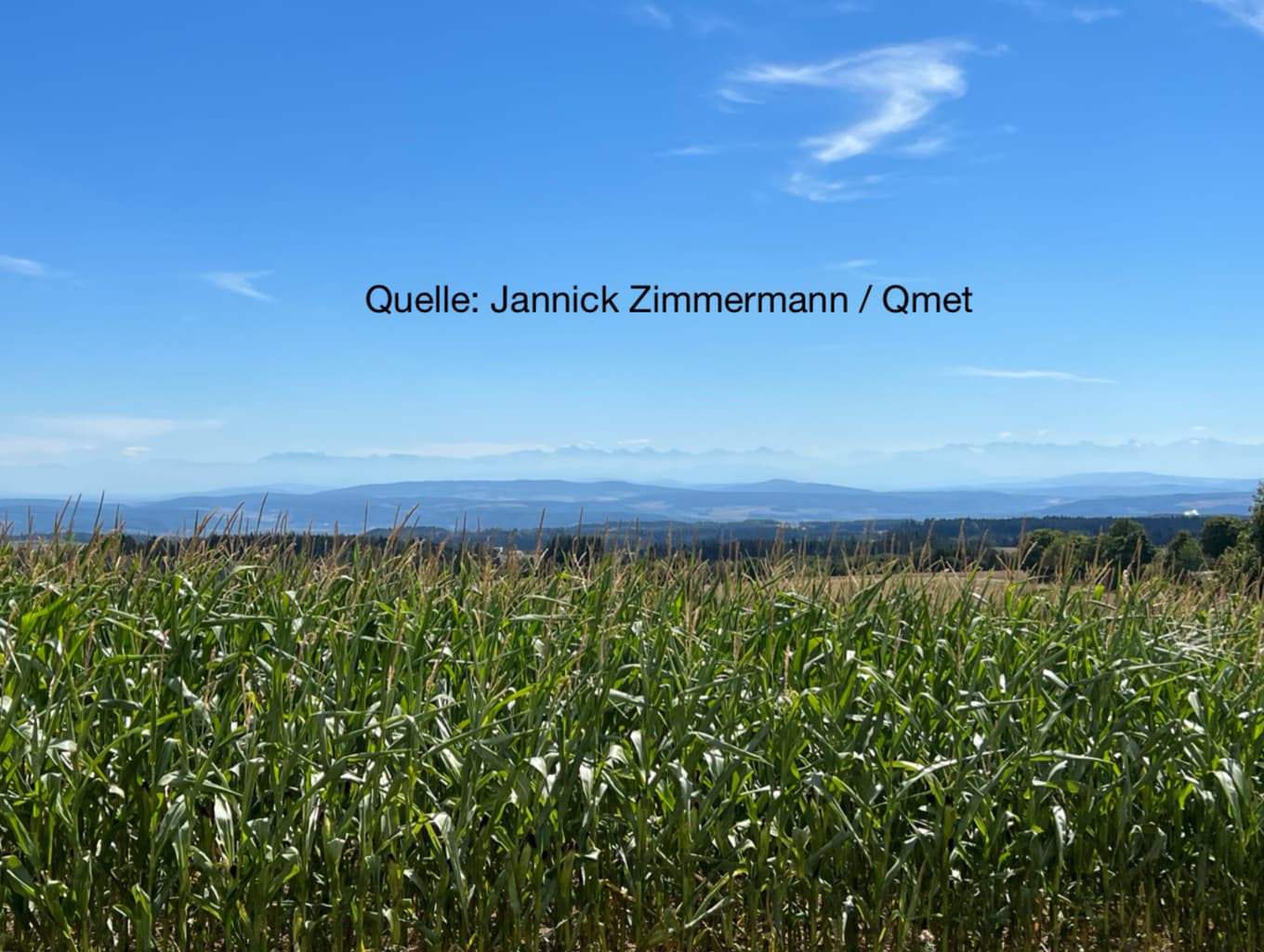 Der Pfingstsommer ist da!