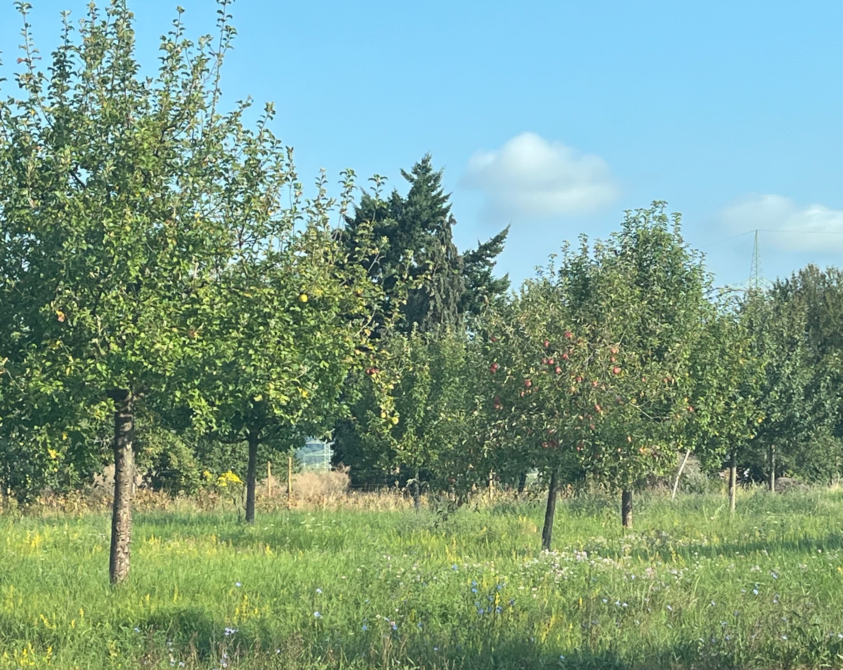 Letztes Sommerhoch vor dem Herbst: Wetteränderung ab Montag