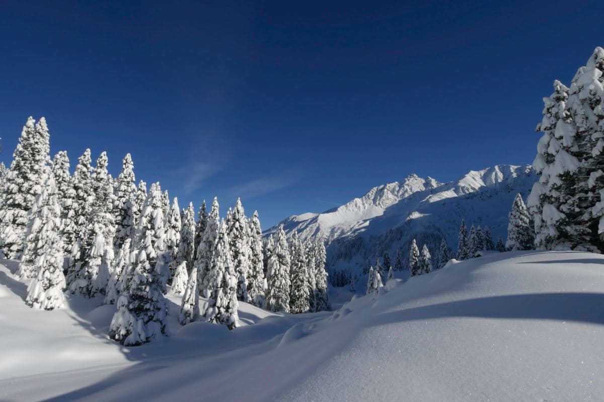 Viel Neuschnee in den Alpen: Die Kälte ist wieder zurück!