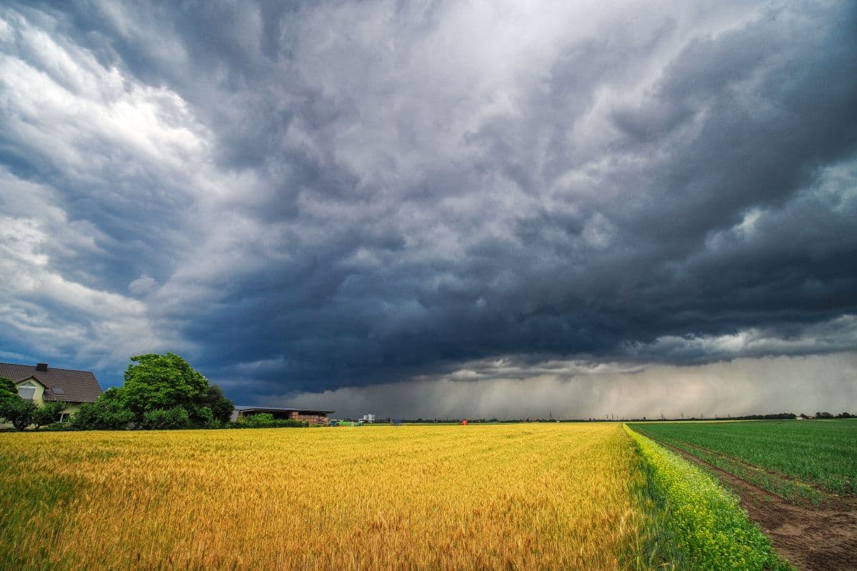Im Tagesverlauf Schauer und Gewitter