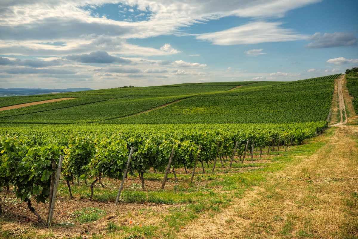 Nach Temperatursturz: Bilderbuchsommerwetter