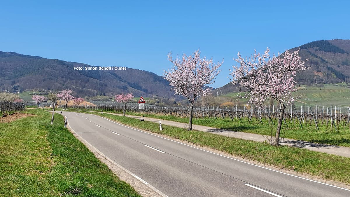 Sonne satt! Hartnäckiger Ostwind bleibt weiter bestehen