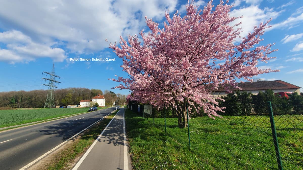 Höhentief bremst den Frühling