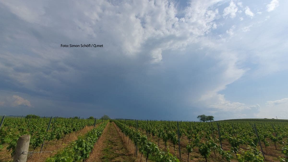 Aus Westen Schauer und Gewitter