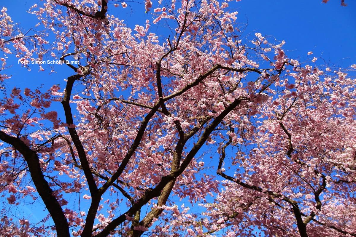 Modellgeflüster: Bald Sonne und 25 Grad?