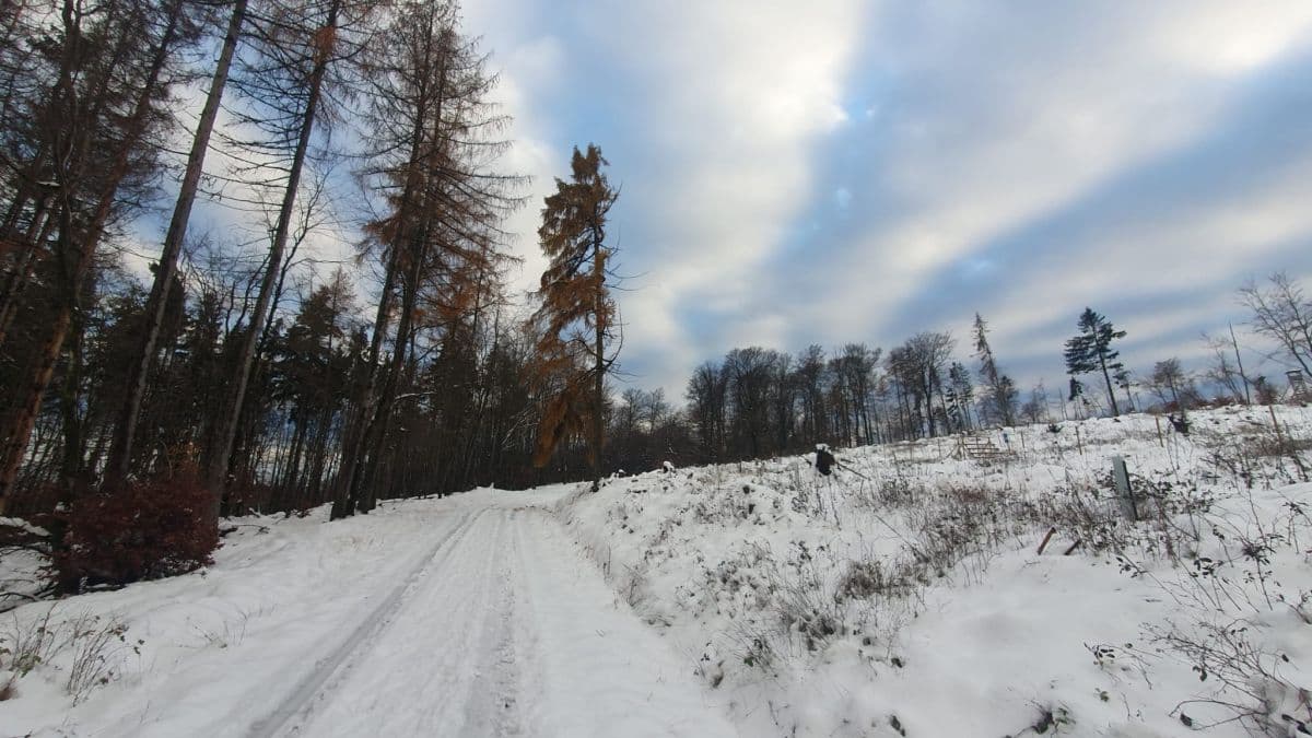 Schneefall lässt nach