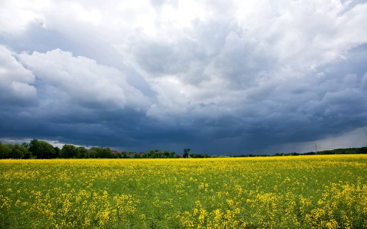 Kühles Schauerwetter