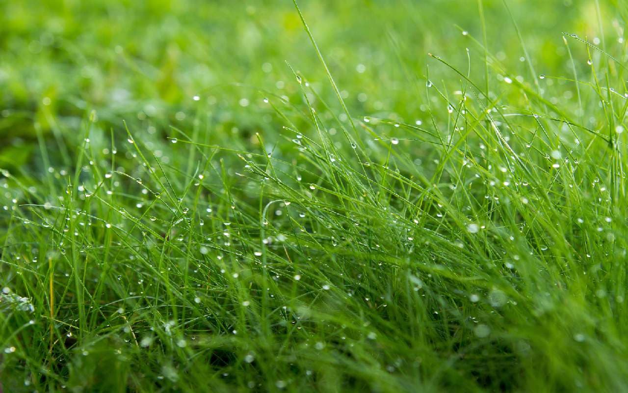 Wechselhafter Wetter-Kurs hält an