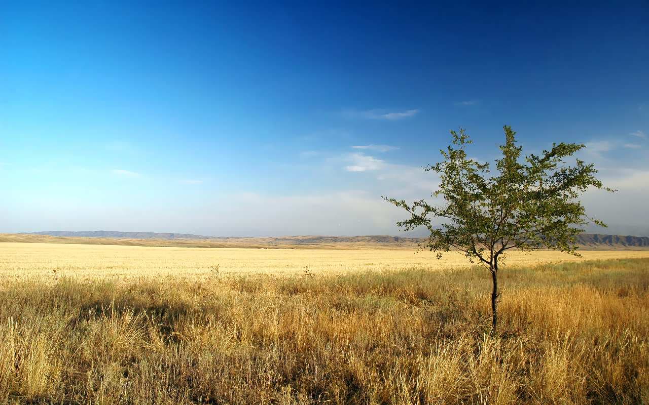 Viel Sonnenschein und sommerliche Temperaturen