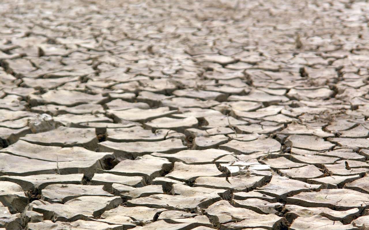 Anhaltende Frühsommer-Trockenheit wird zum Problem